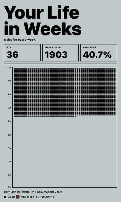 Your Life in Weeks Screenshot: Lebenswochen im Hochformat