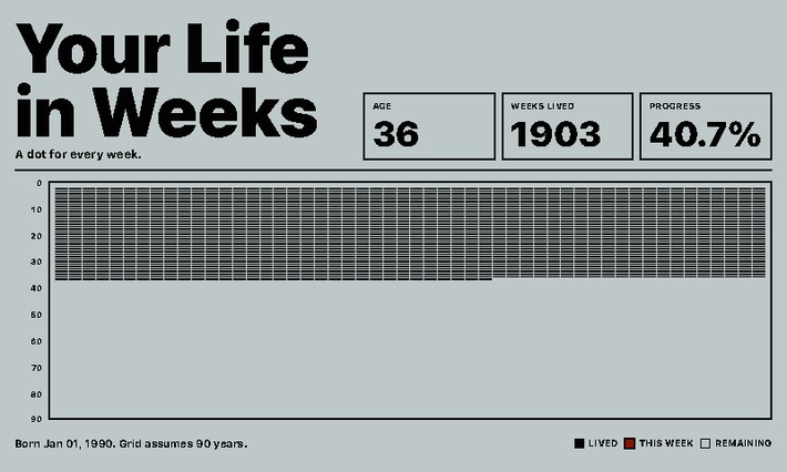 Your Life in Weeks Screenshot: Lebenswochen im Querformat